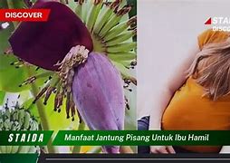 Apa Manfaat Jantung Pisang Untuk Ibu Hamil